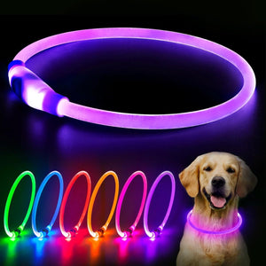 LED Dog Collar USB Rechargeable Glowing Pet Collars Lighted