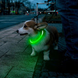 LED Dog Collar USB Rechargeable Glowing Pet Collars Lighted