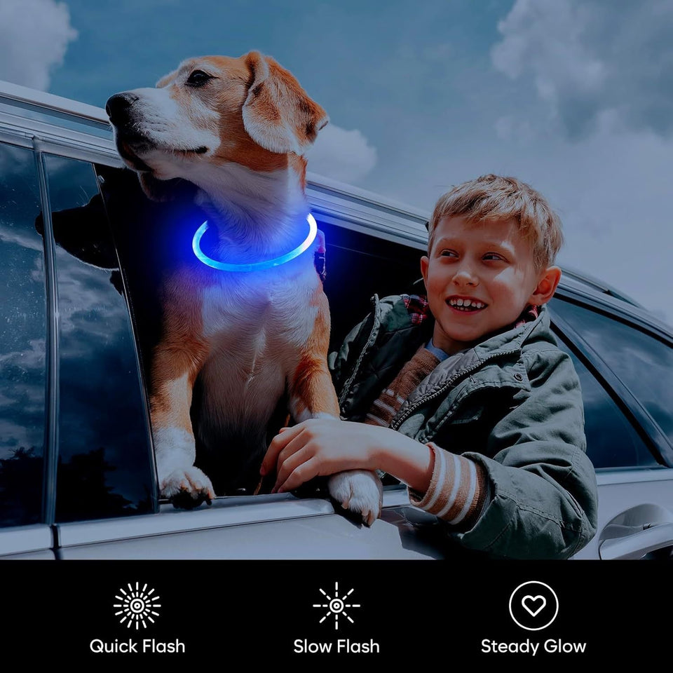 LED Dog Collar USB Rechargeable Glowing Pet Collars Lighted