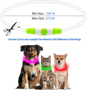 LED Dog Collar USB Rechargeable Glowing Pet Collars Lighted